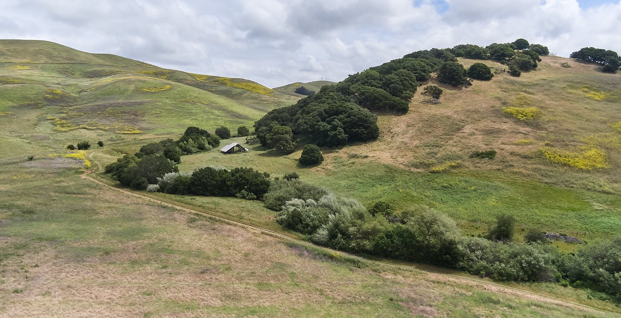 Green rolling hills dotted with oak trees, seen from above.