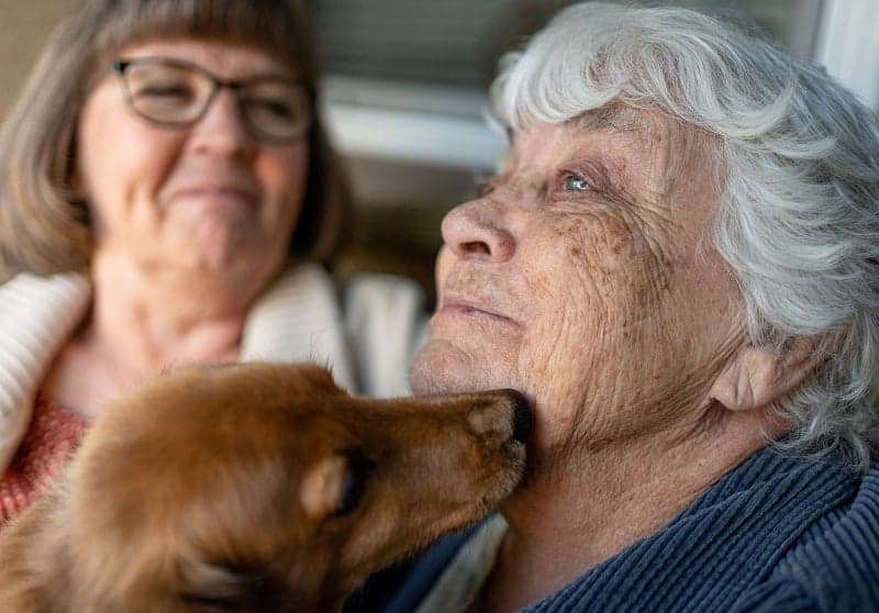 A small dog and an older woman