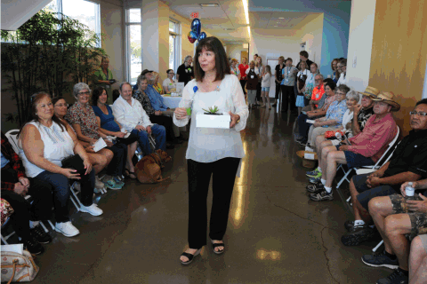Slideshow from the butterfly launch: guests gather indoors, a boy blows bubbles, guests release butterflies, butterfly-shaped cookies.