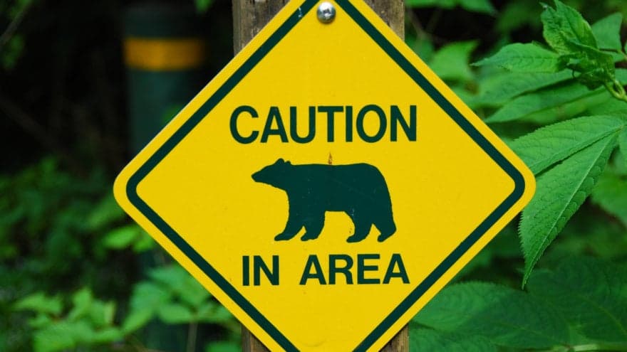 A photo of a yellow Caution Bears in Area sign on a wooden pole.