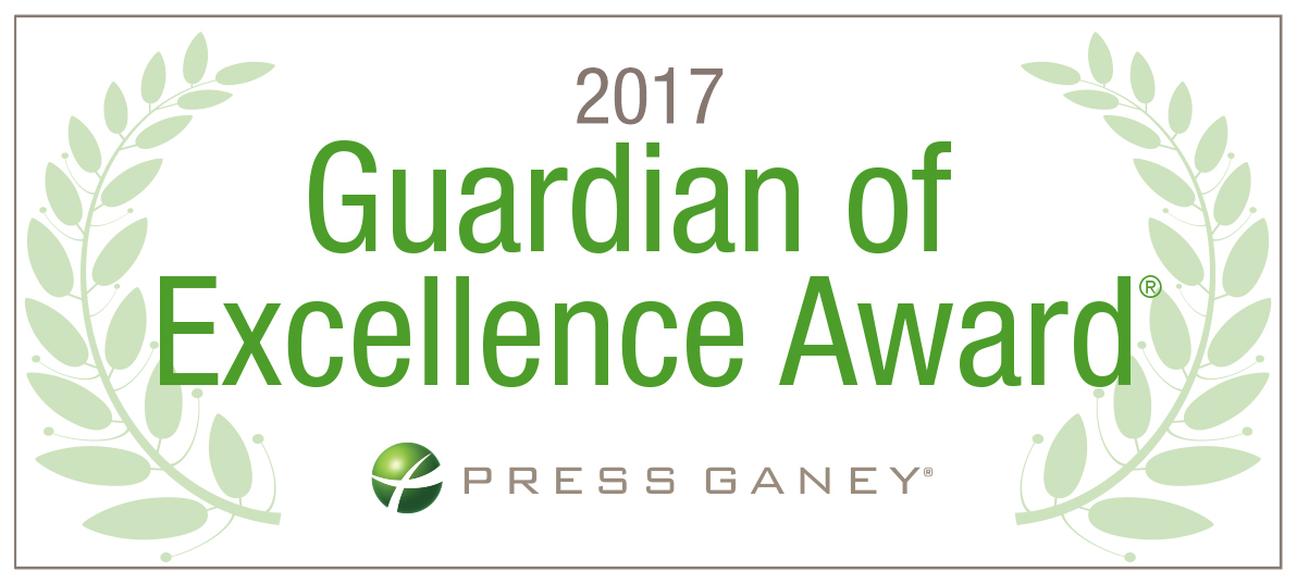 The Guardian of Excellence Award in 2017