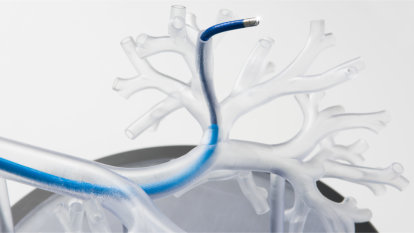 A more thorough view of the thin monarch probe inside a plastic replica of a lung.