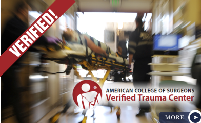 Trauma Level Two Verification